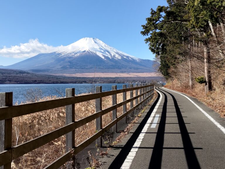 Mt.Fuji round course 100km