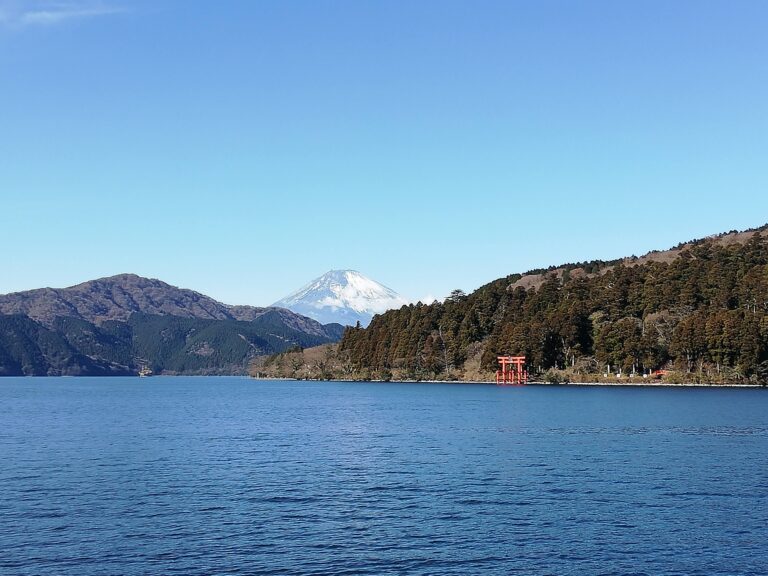 HAKONE  nature course
